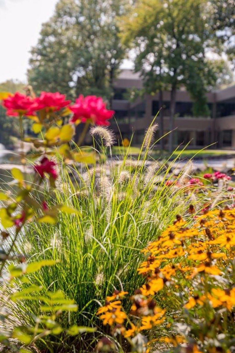 8 a0eJEh6wpVnwL0MfBf-ekfL6FtMd22BN1HudXCgjVz4,rnsxVlwvIVml7-AVK1kL_tdwL1MPtRl_Hn6S-2wSR1I