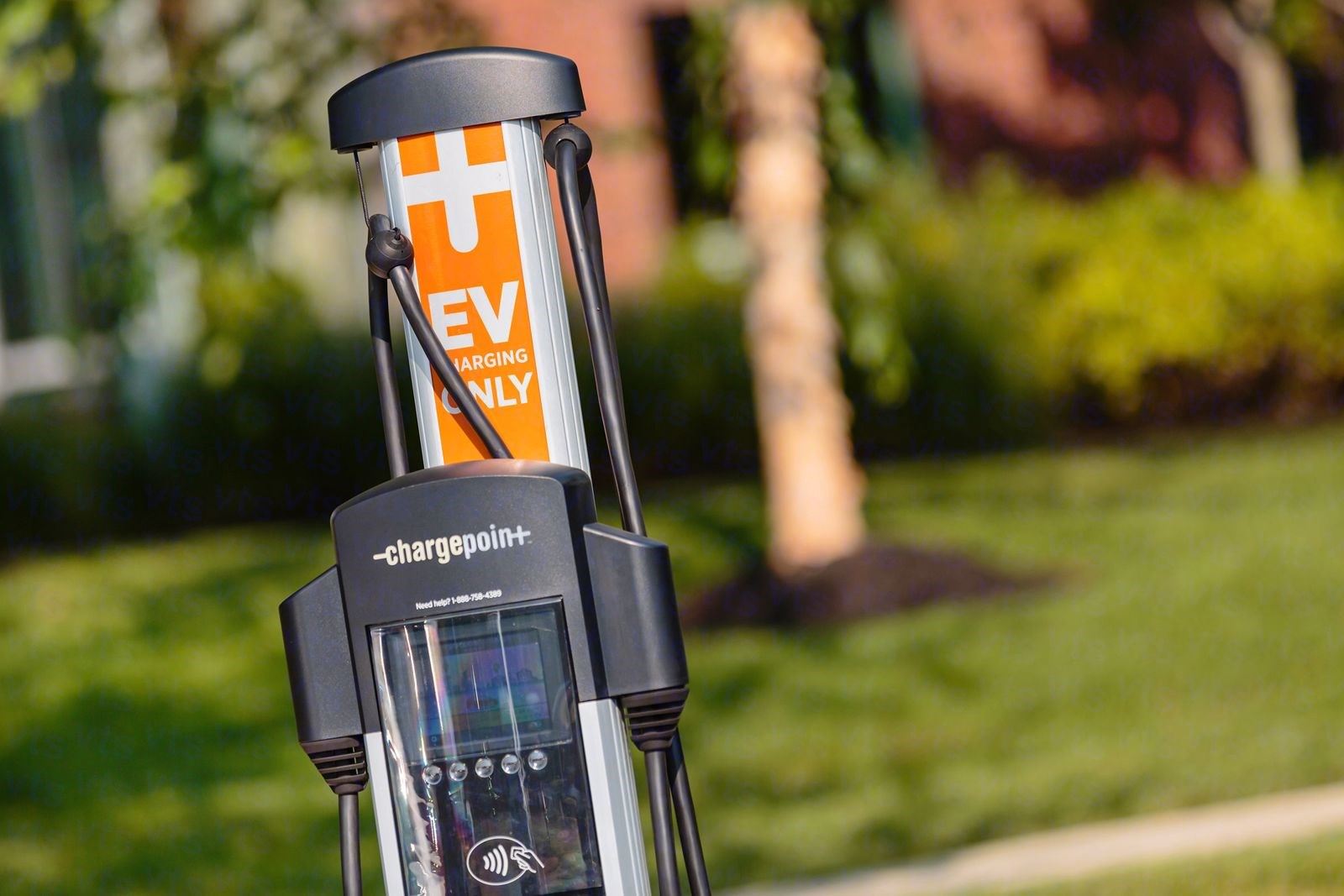 HOBBS BROOK WALTHAM_GROUND1_FINALS_0029-edited