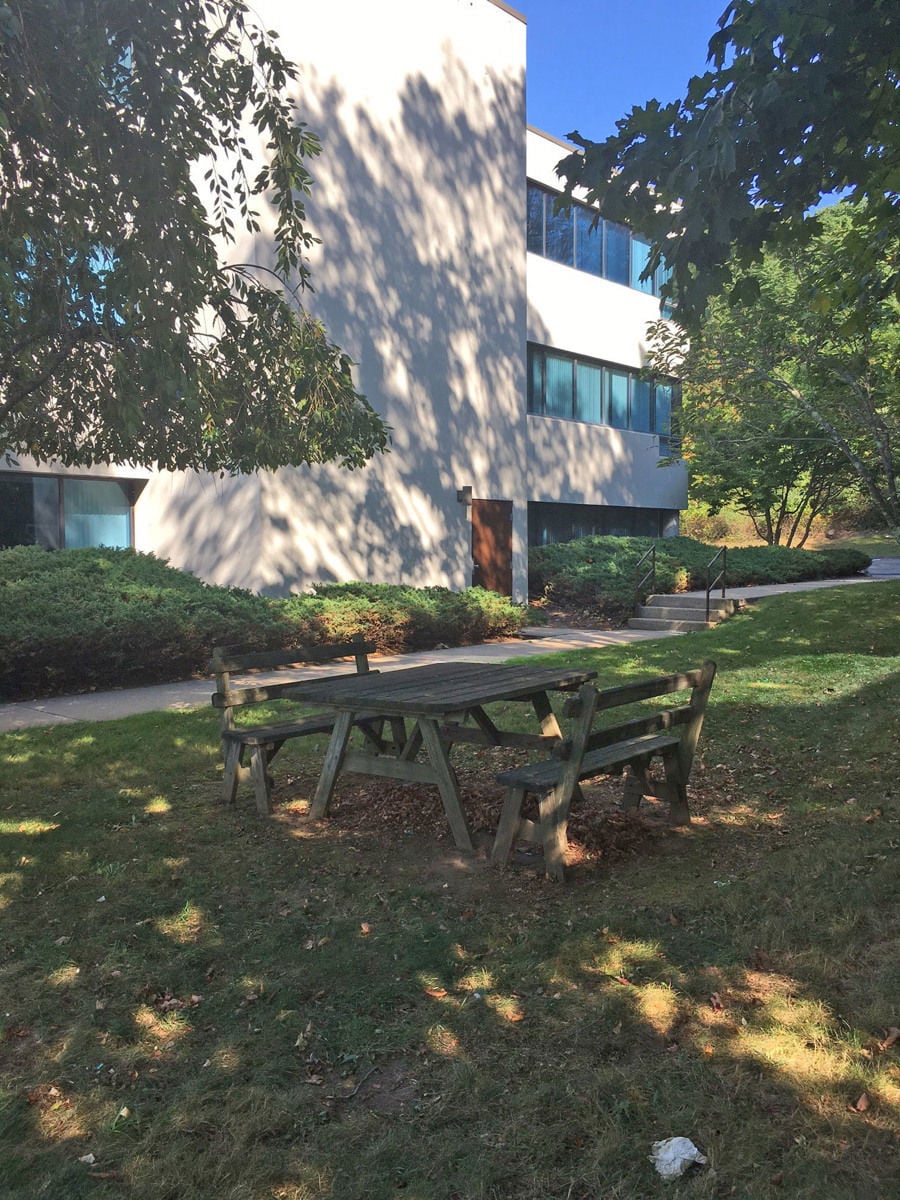 Westview picnic area