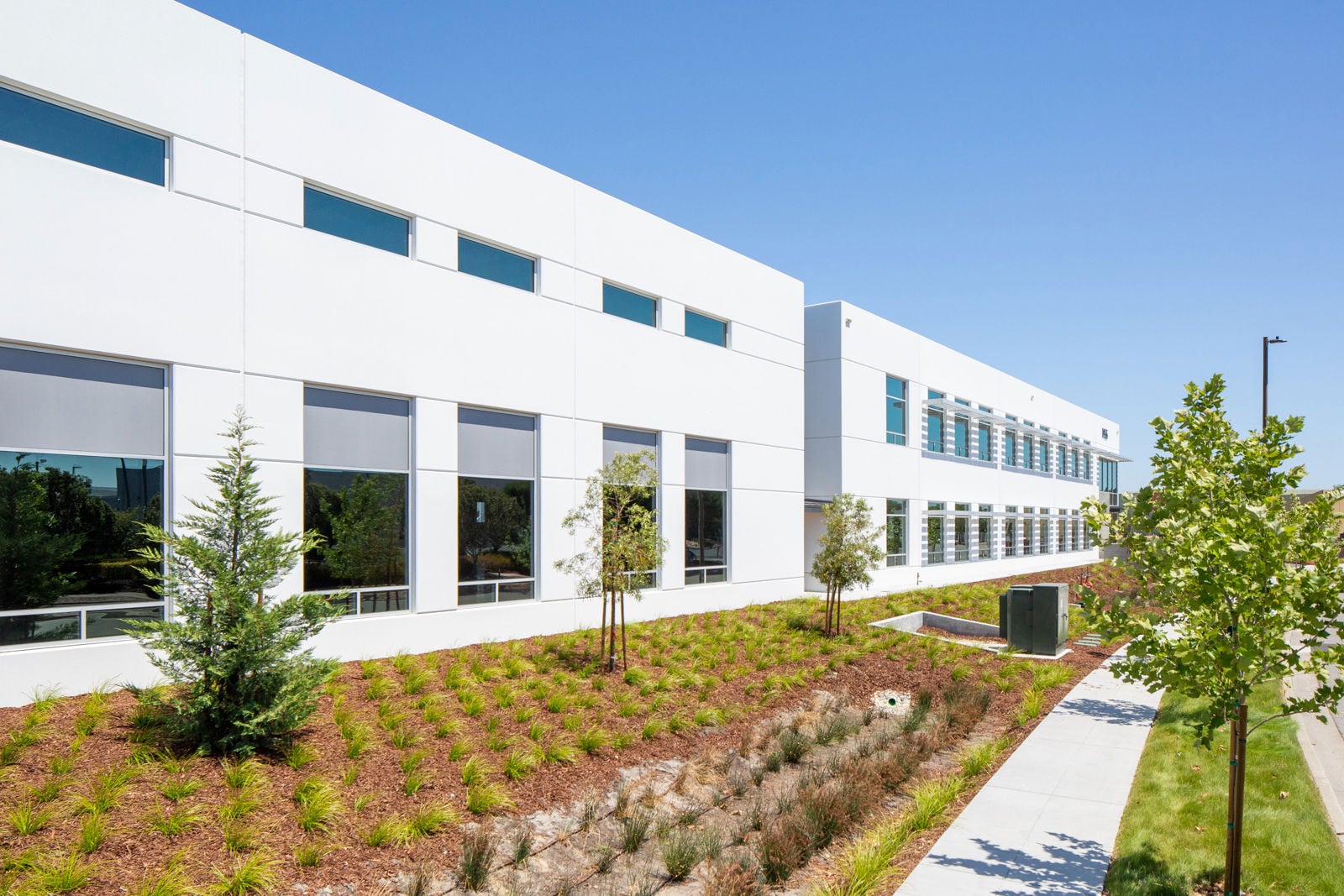 1955 N Loop Rd_Q5A3337