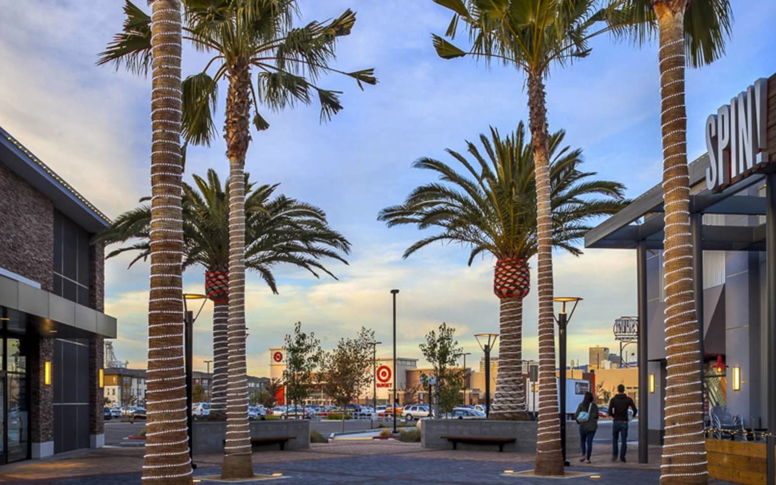 Palm Trees and Target