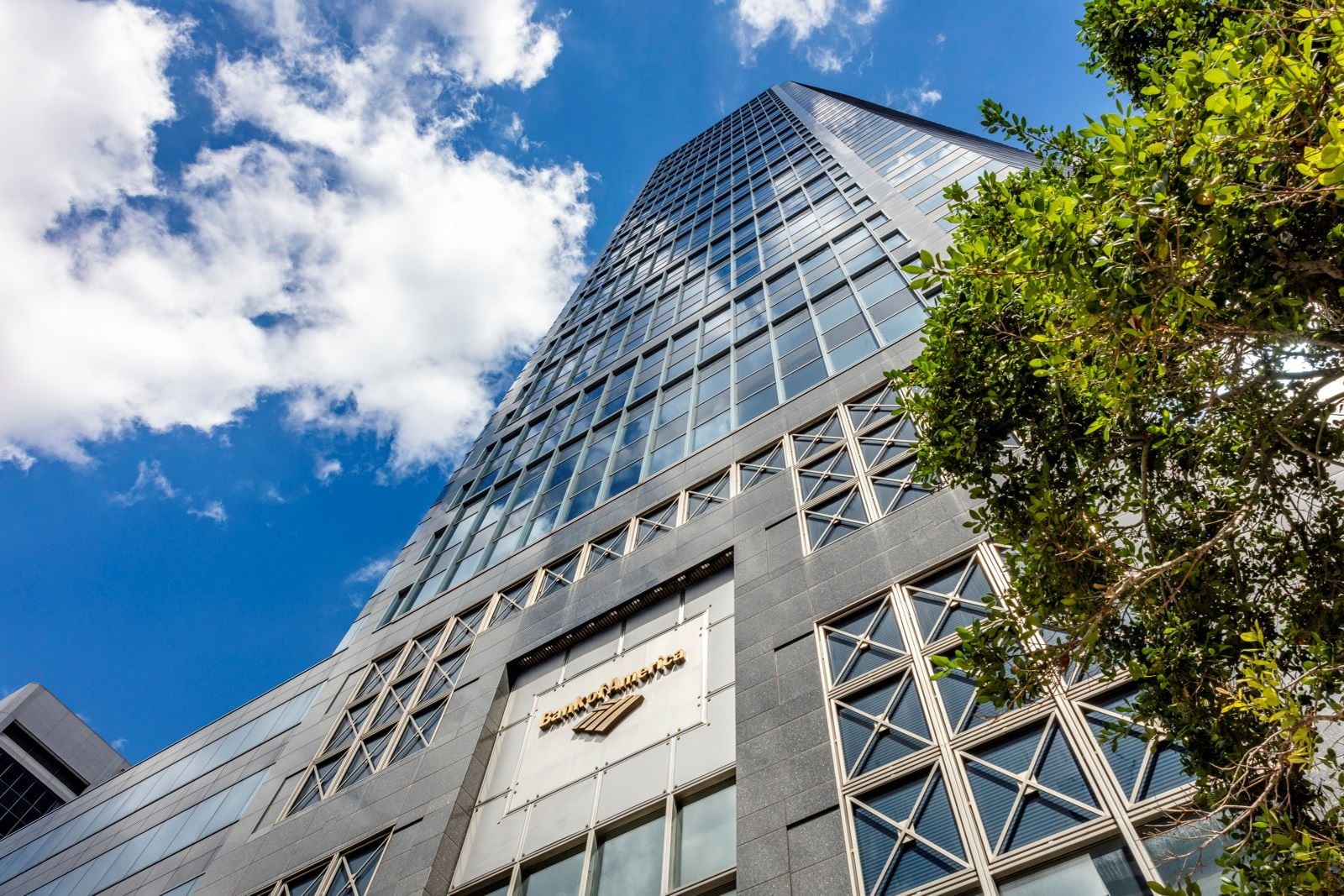 442 BoA Jax 9-28-19 Exteriors