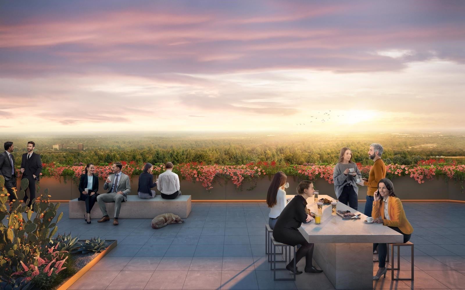 2022-1116 RED BLUFF rendering combined_Page_6