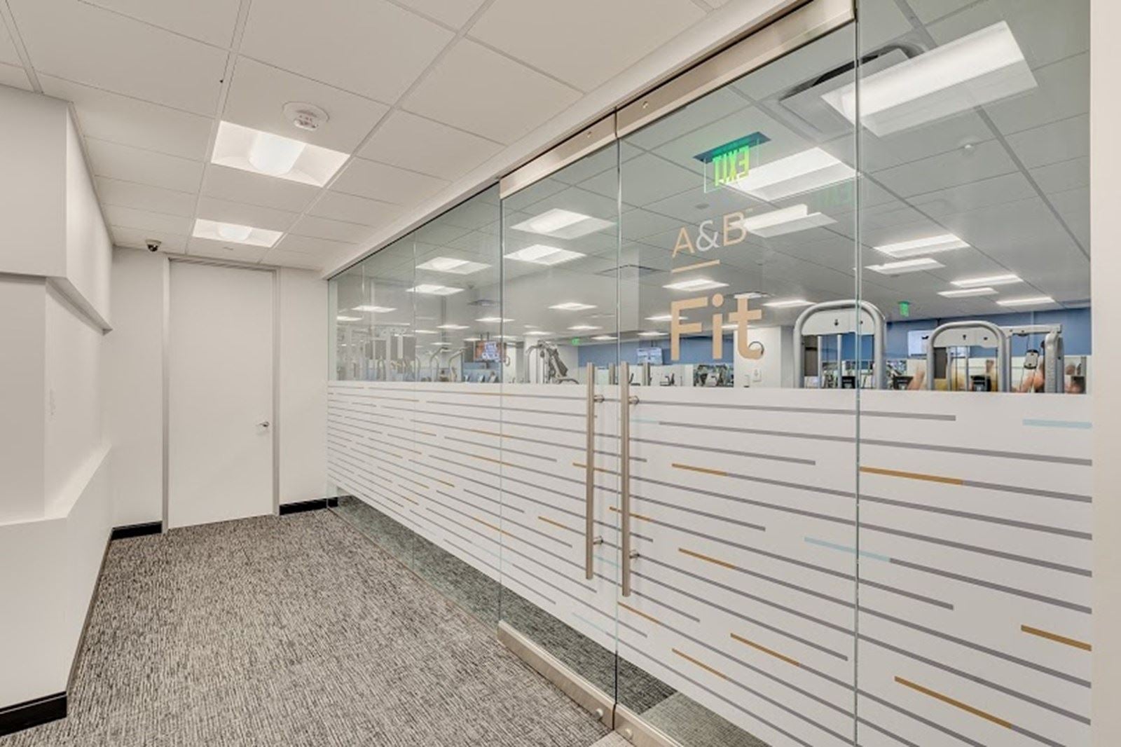 DSC_8677BLENDED sep12-Edit.JPG