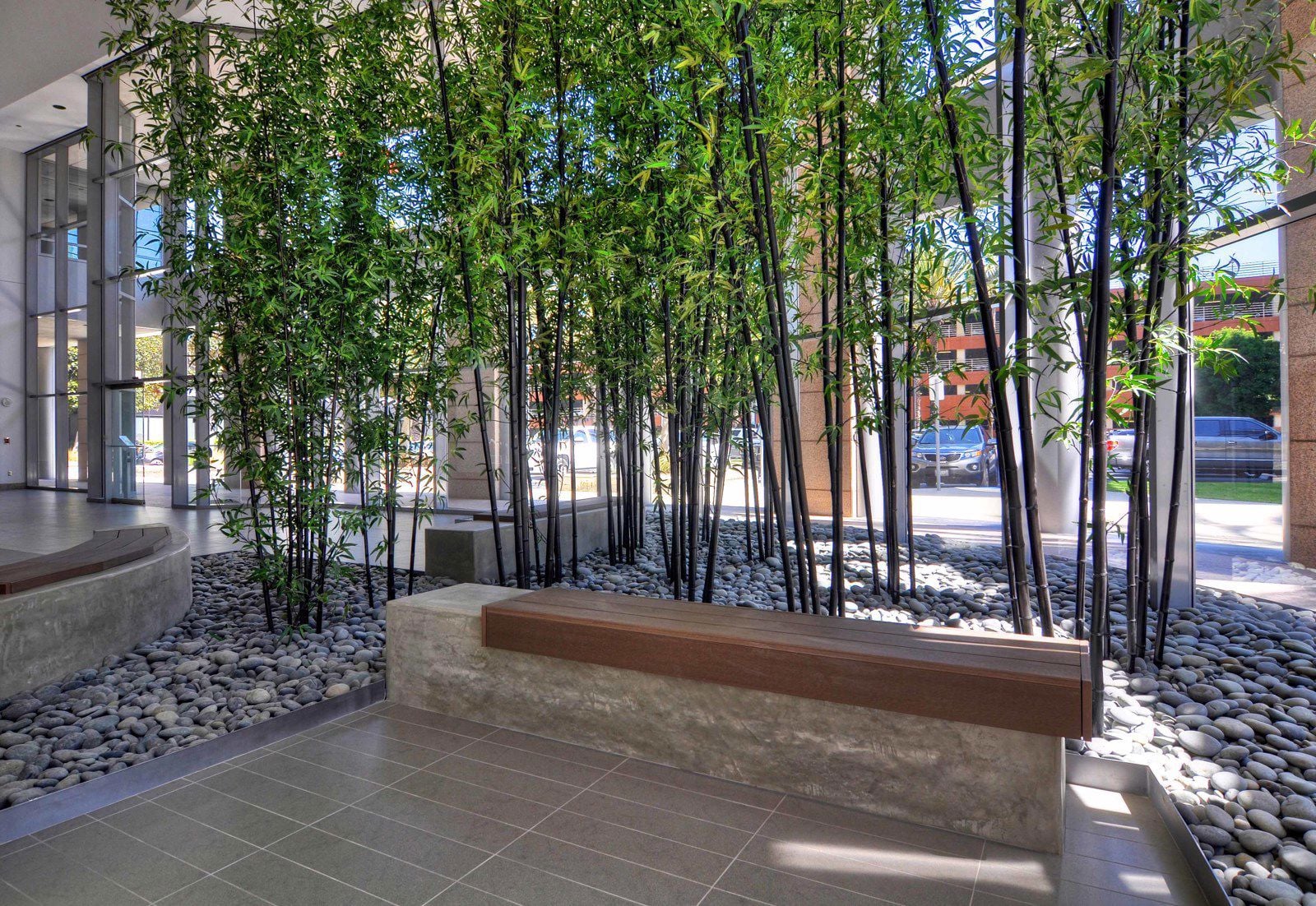 DSC_0034_5_6_reduced