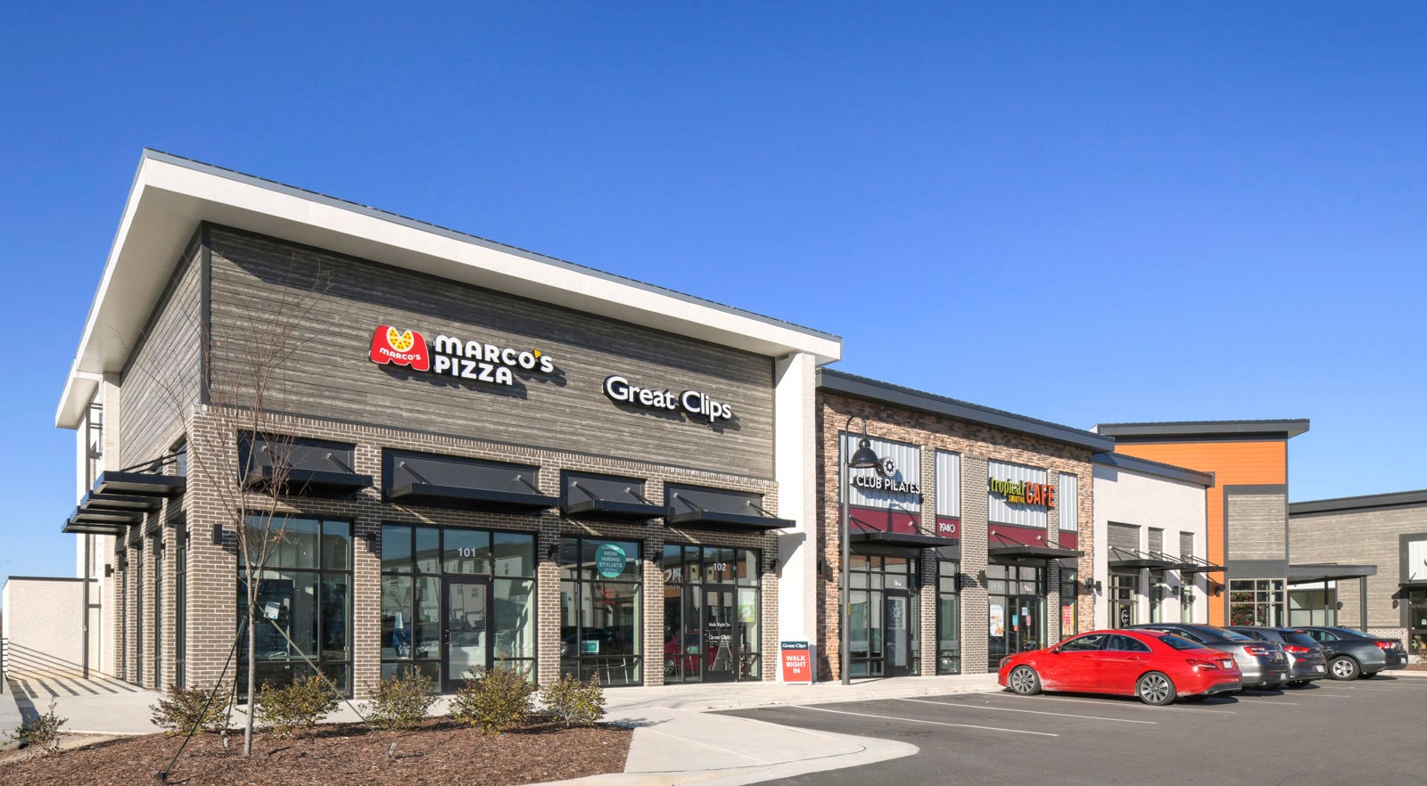 Treelight Square 12-11-25_26