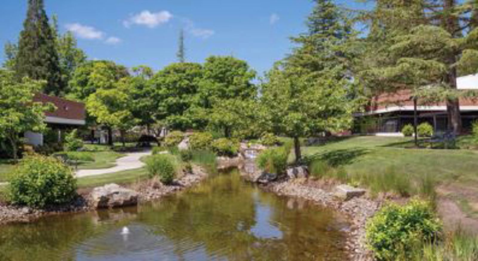 Waterside Photo 1.JPG