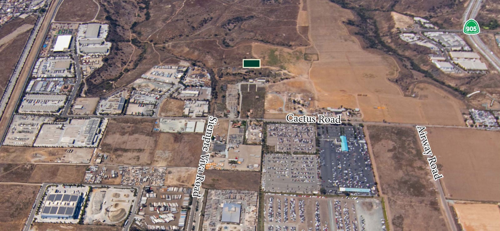  SWC Siempre Viva & Cactus