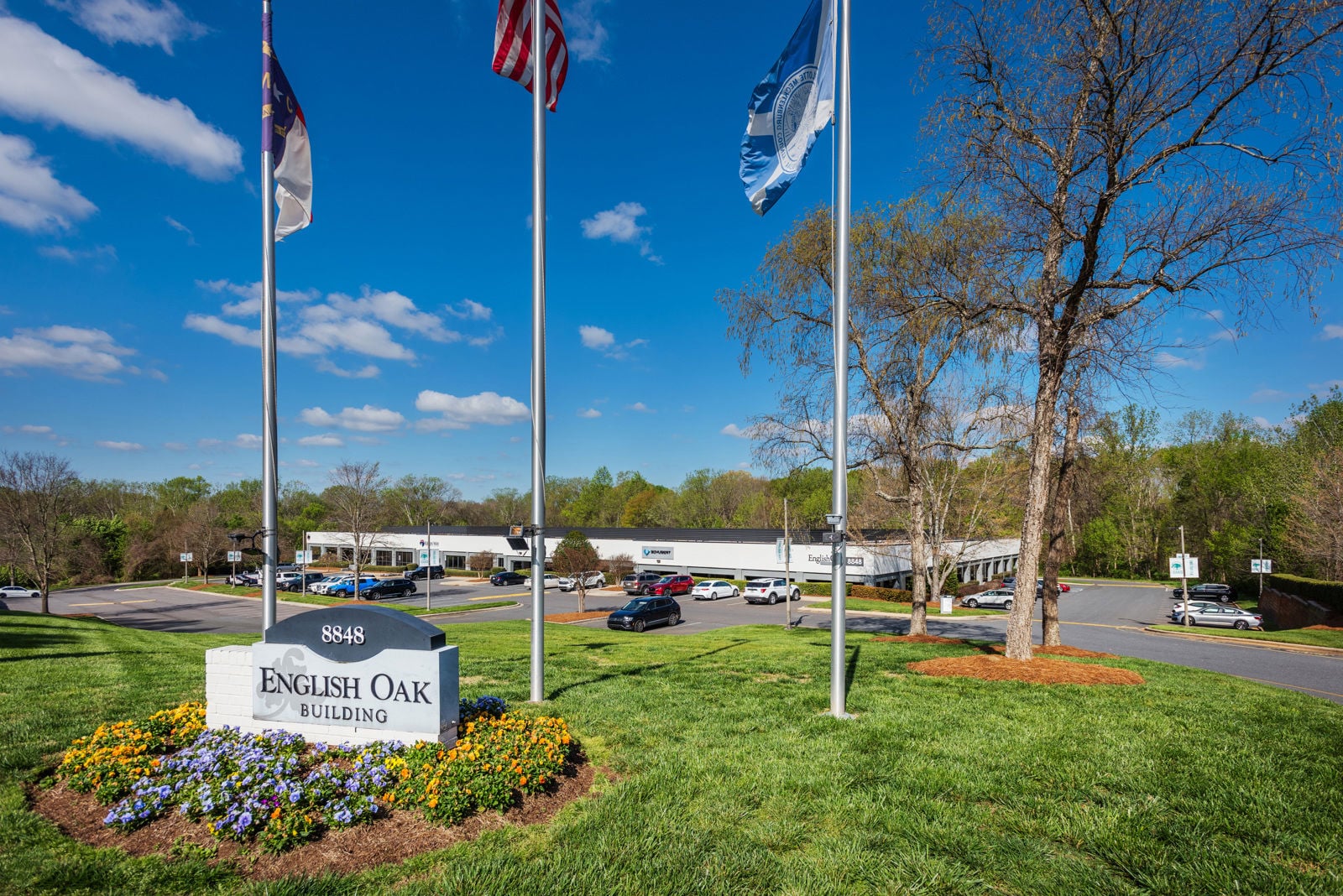 8848-red-oak-ext6578
