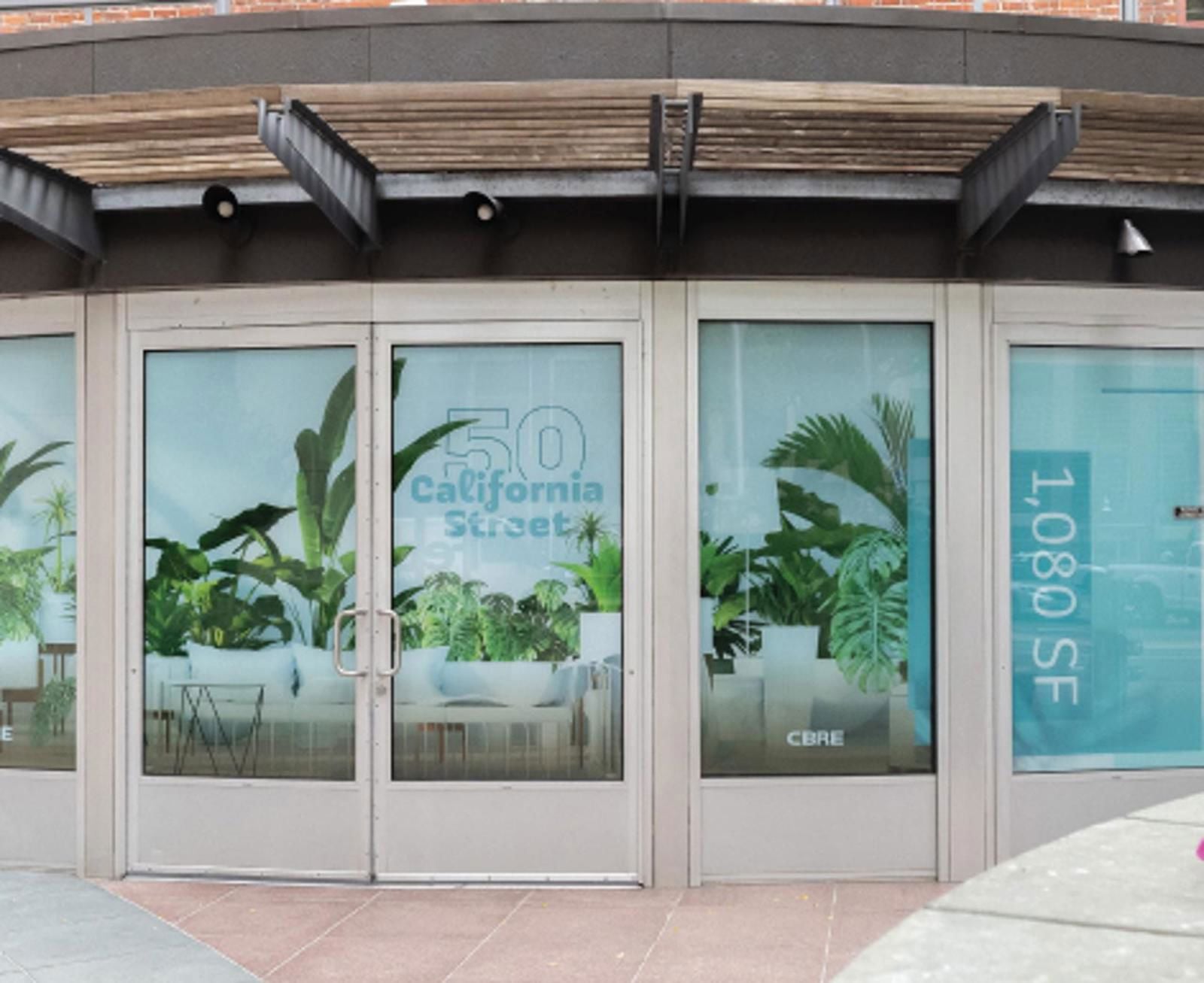 50 California pic.PNG