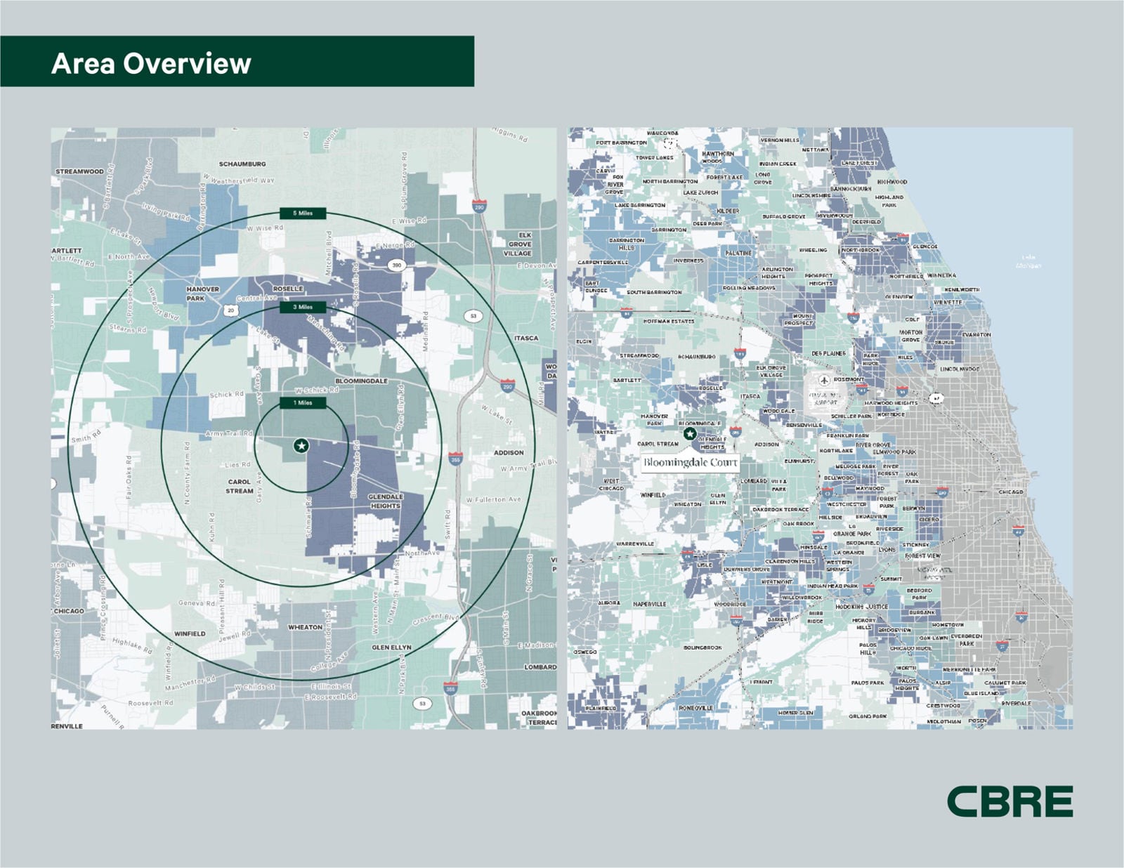 Bloomingdale Court_202504294