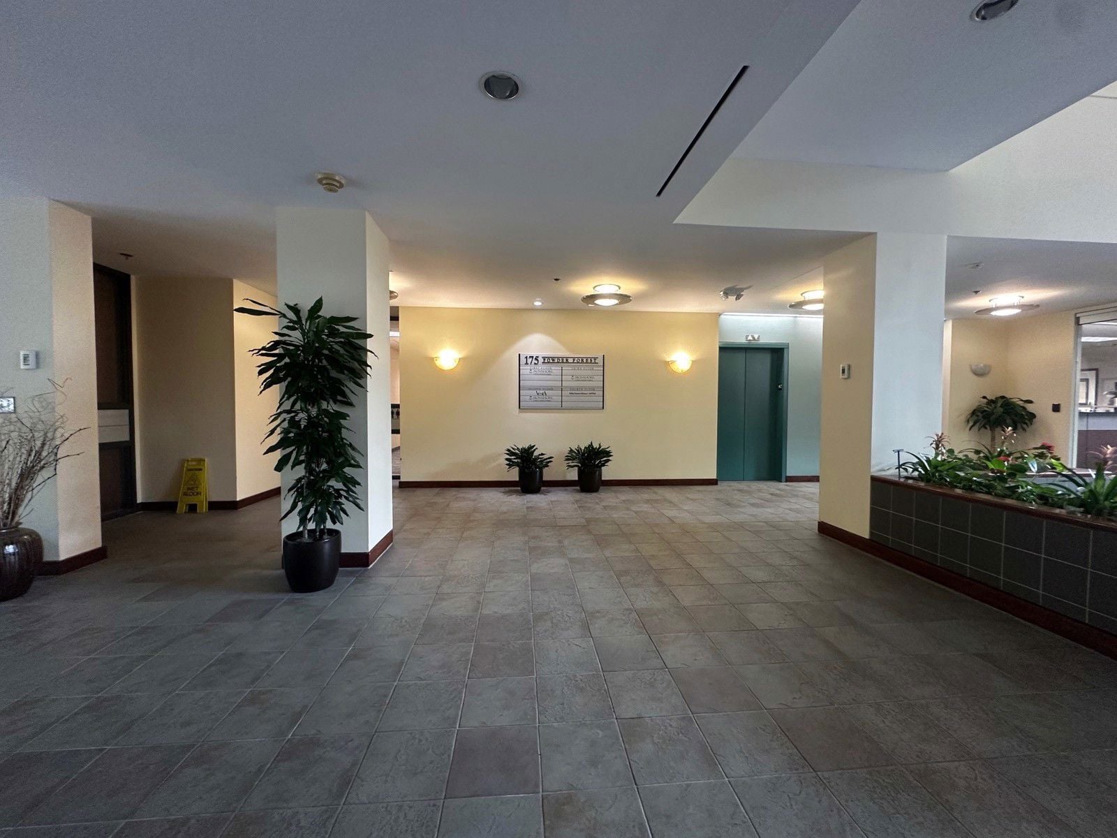 175 Powder Forest_pic 9