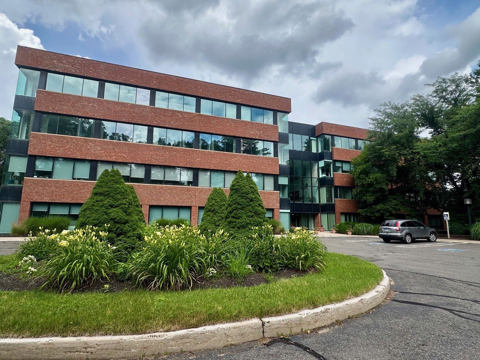 175 Powder Forest_pic_