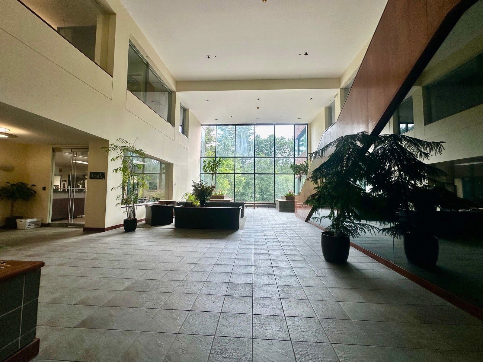 175 Powder Forest_pic 7