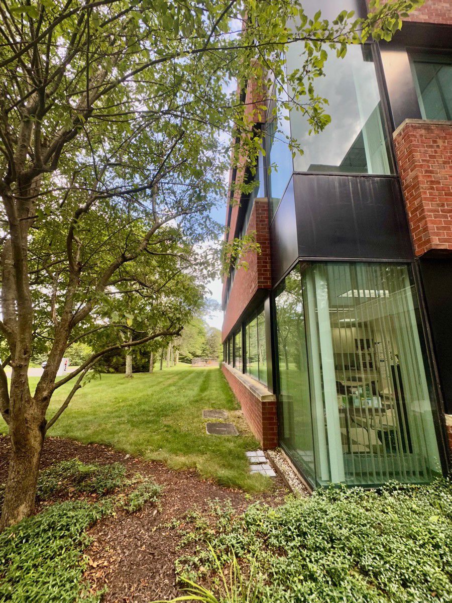 175 Powder Forest_pic 6