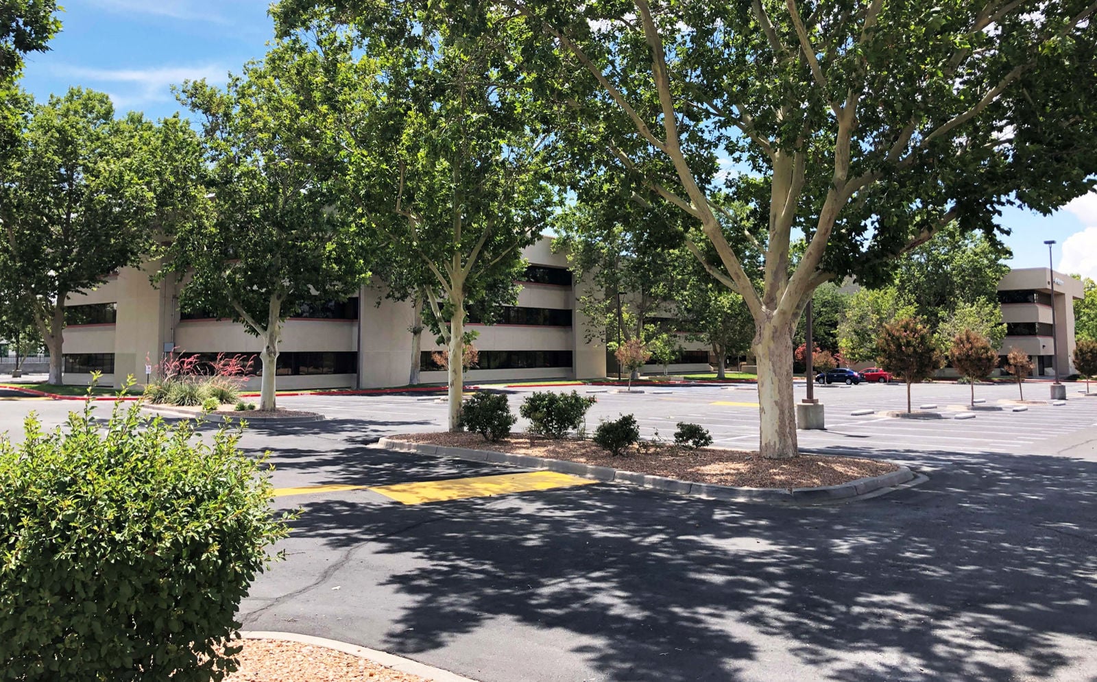 Clifford Plaza Exterior