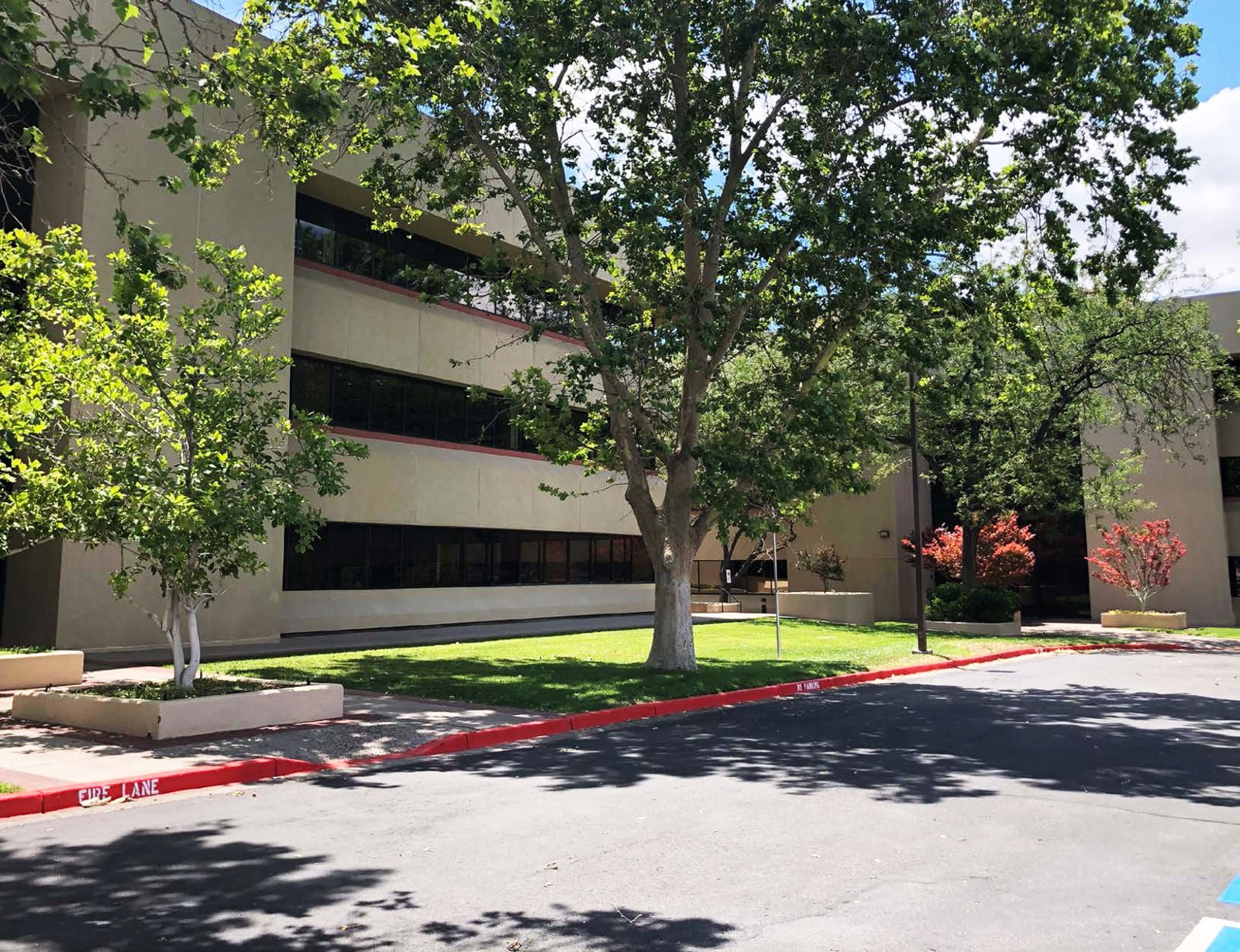 Clifford Plaza Color