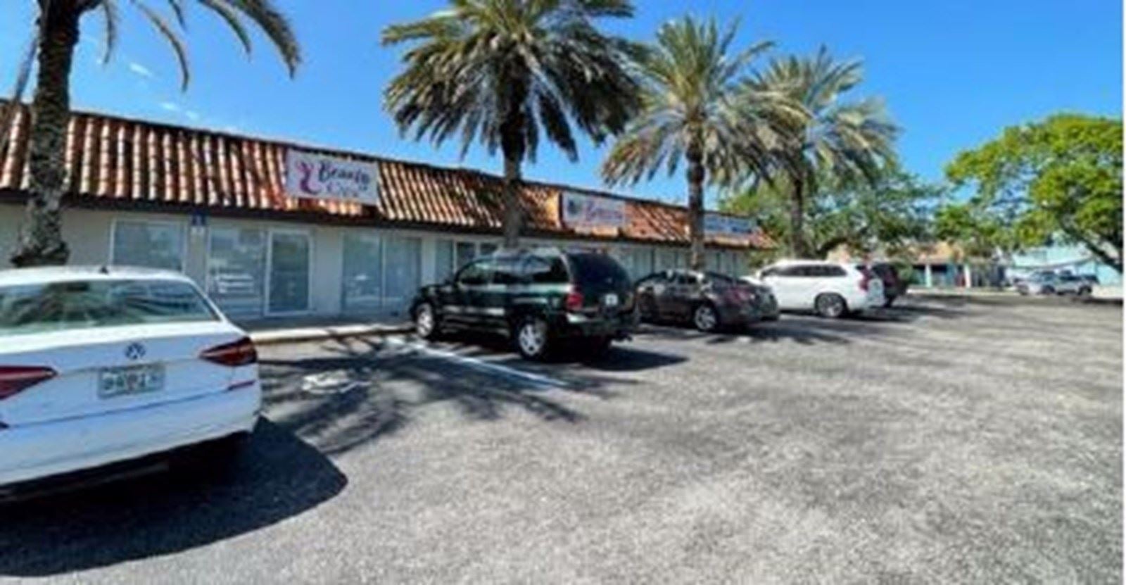 Hibiscus North Side_cropped