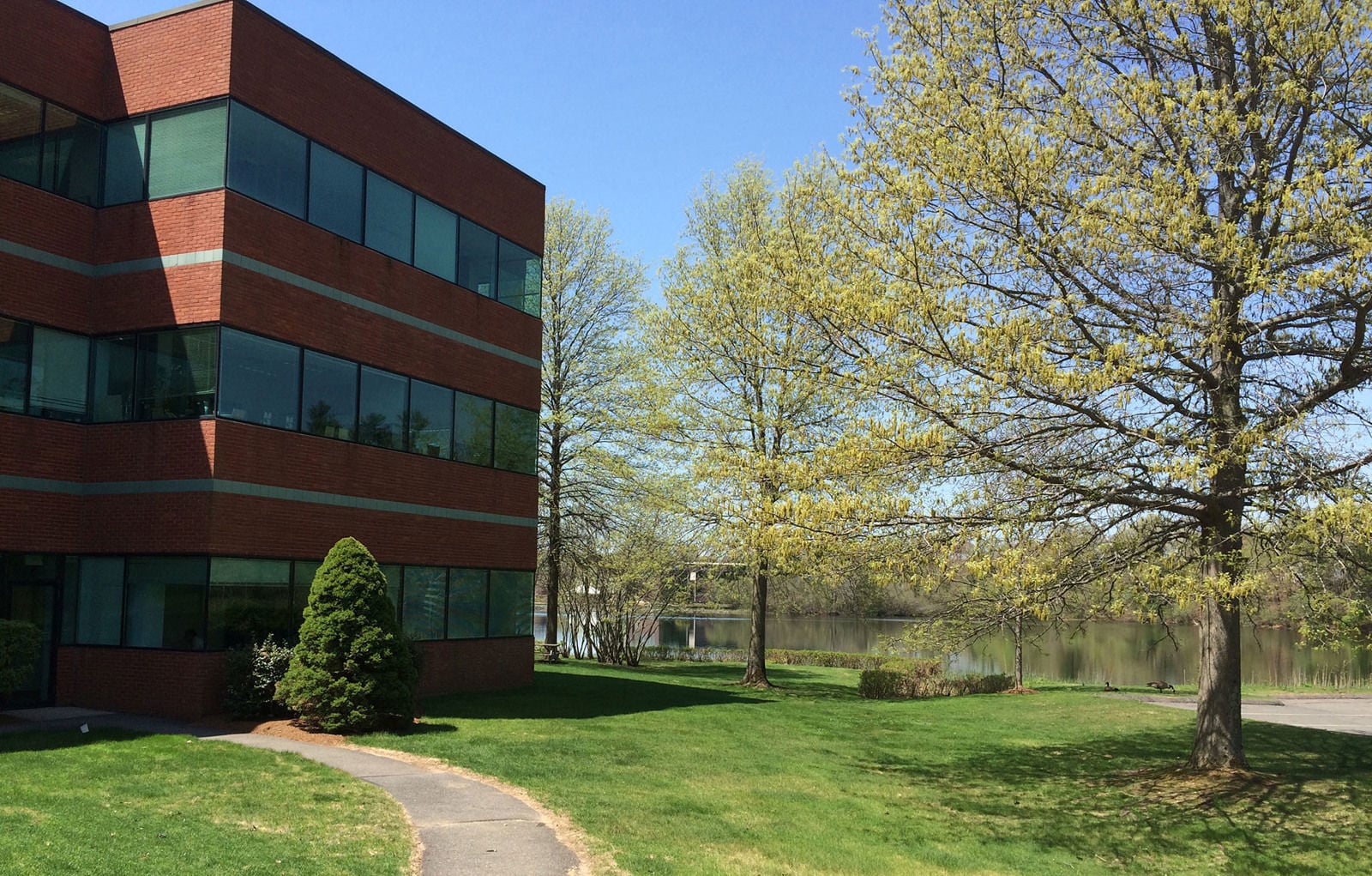 10 Executive Drive - Image 4