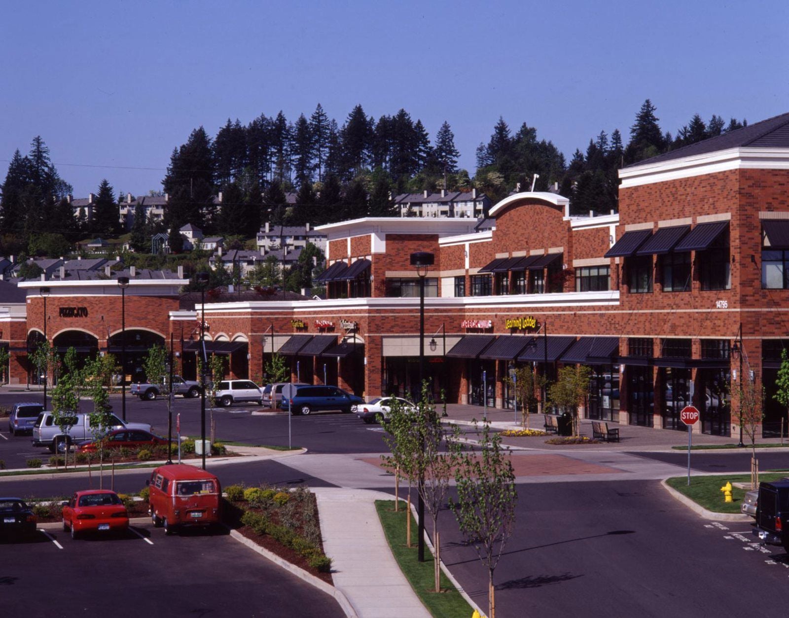 murrayScholls_TC