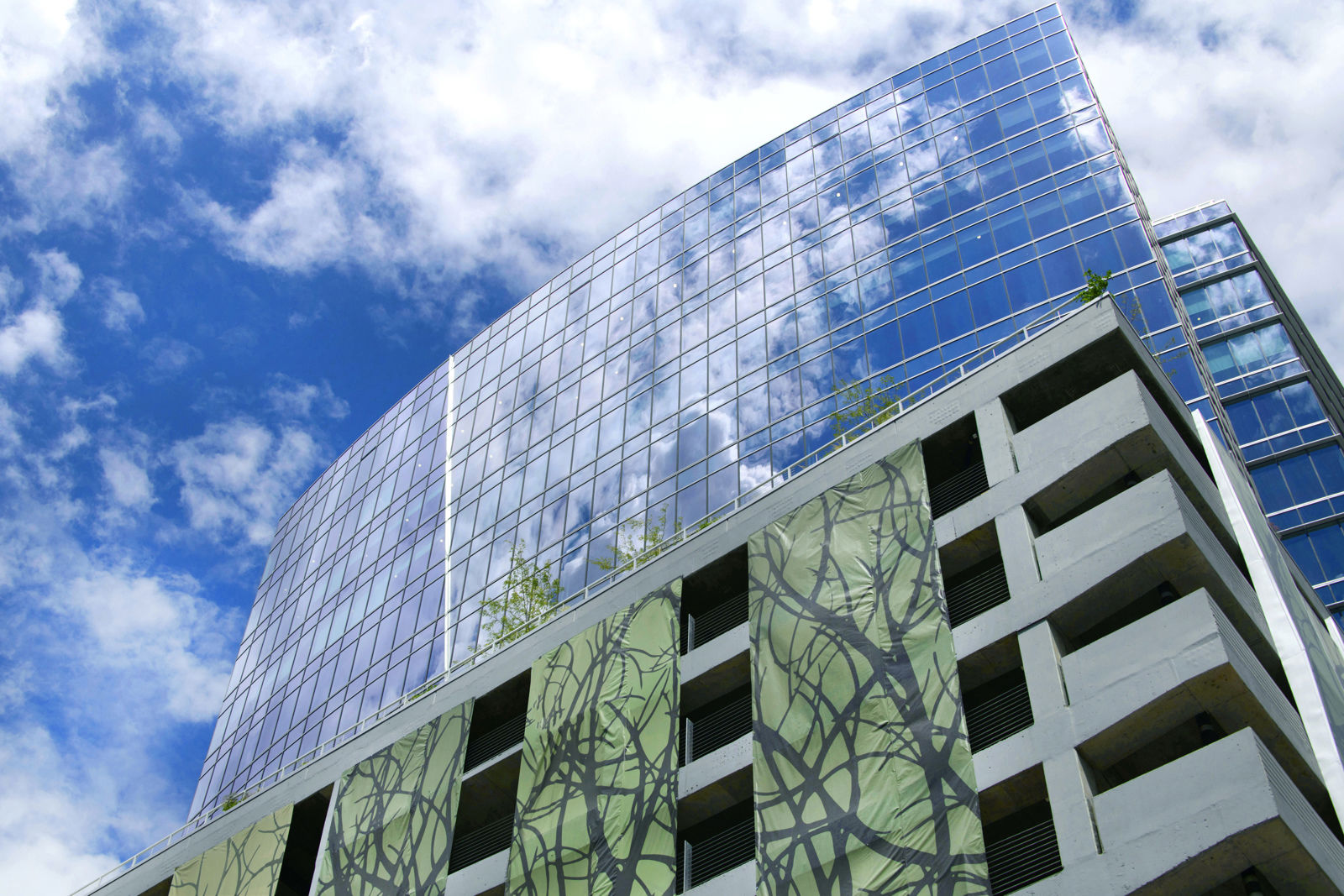 301 Hillsborough-62-22-0701 exterior