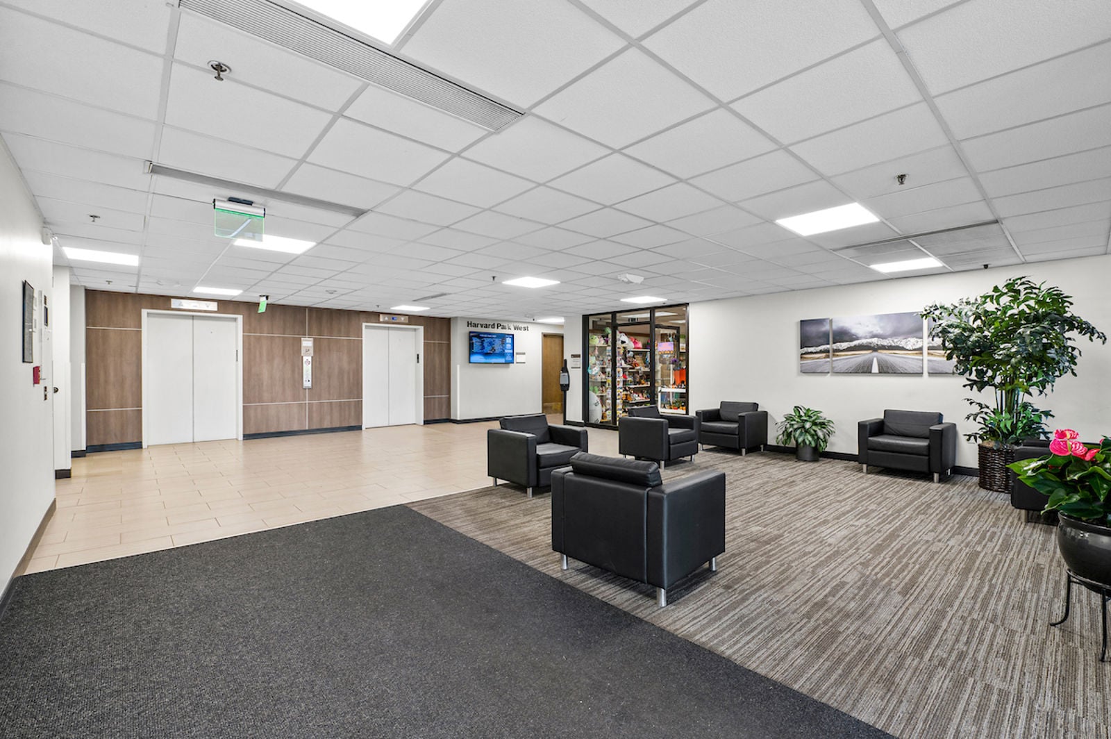 MuntzStudios-850EHarvard-11