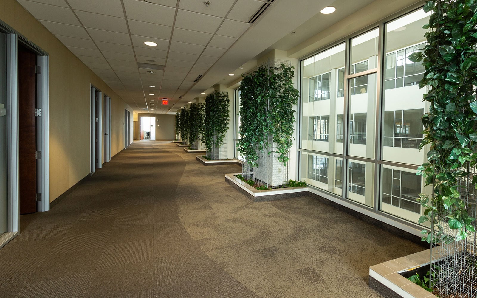 257 W Genesee_6595_web