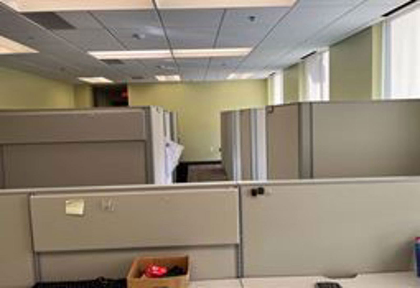 Cubicle area.JPG