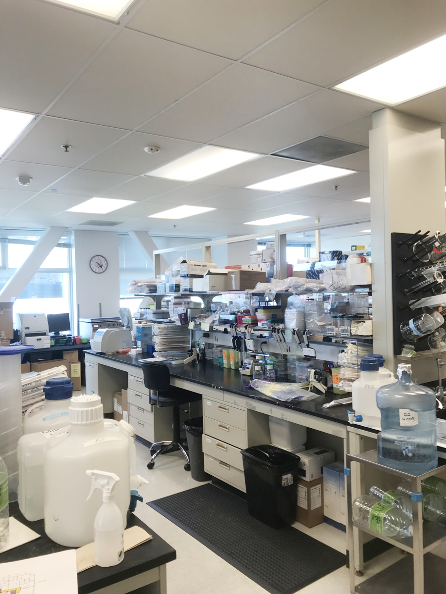EmeryStation West - 5959 Horton Street, Emeryville, CA — Lease in Emeryville, CA, photo 4 of 7