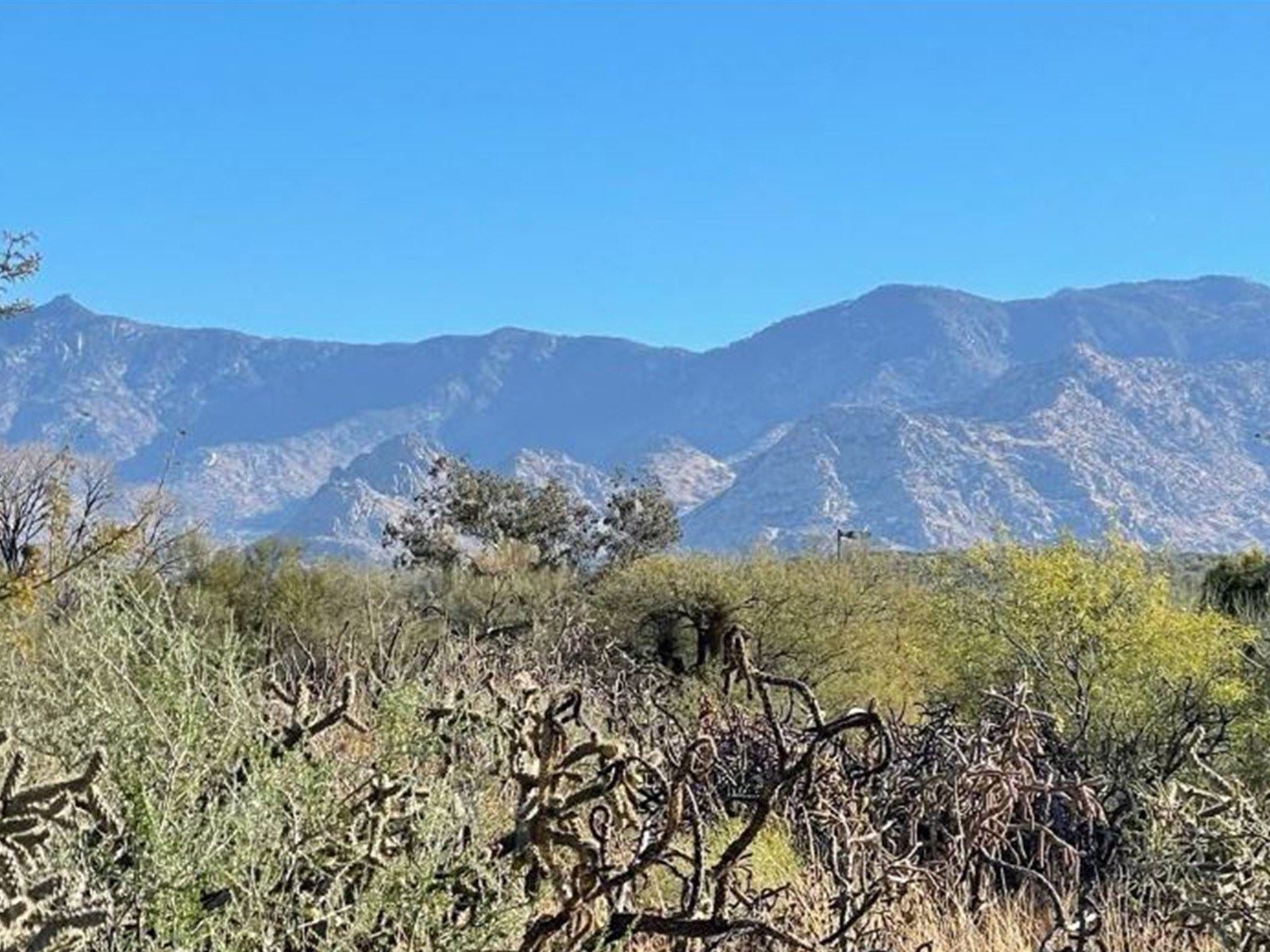 10909 N Stallard Pl - Cover.JPG