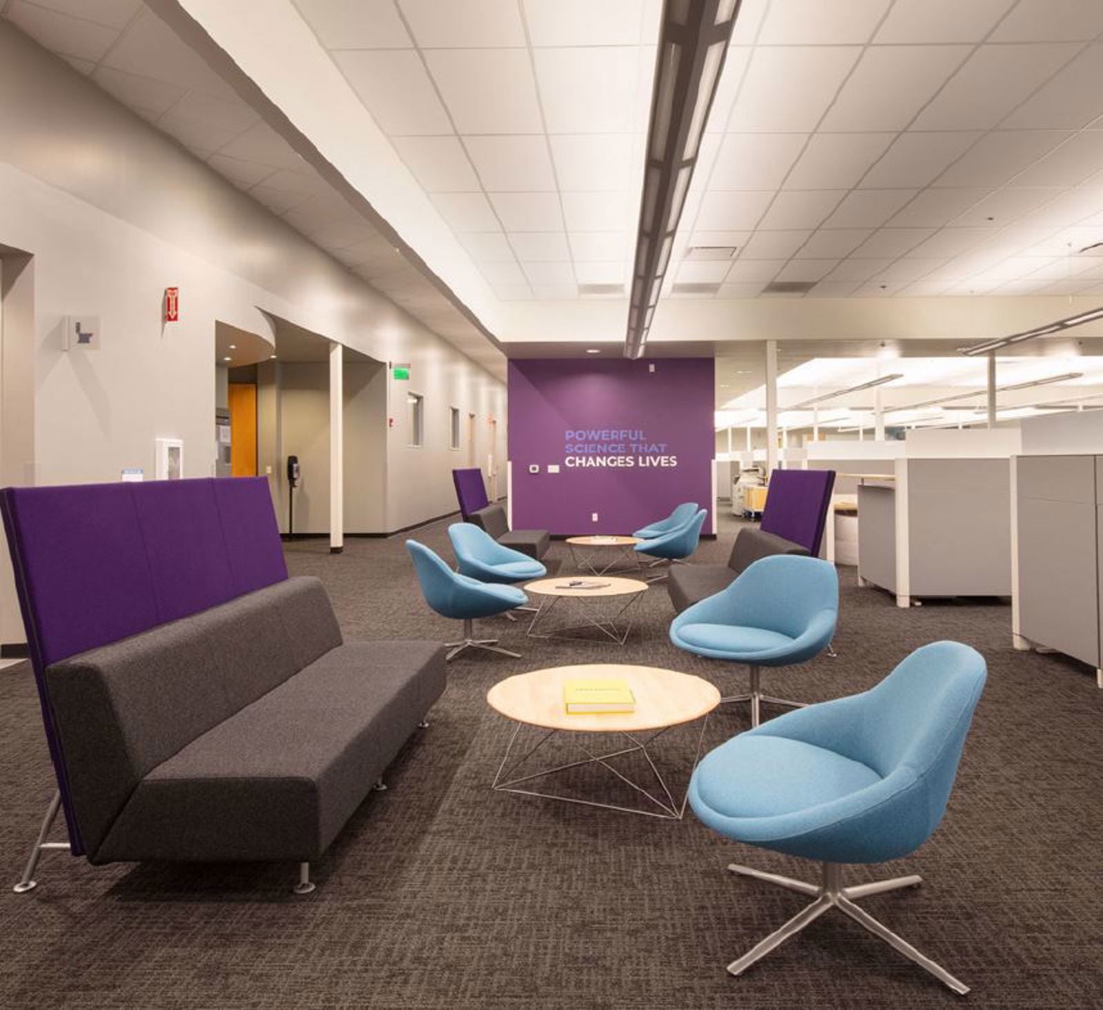 Colloraboration Area.JPG