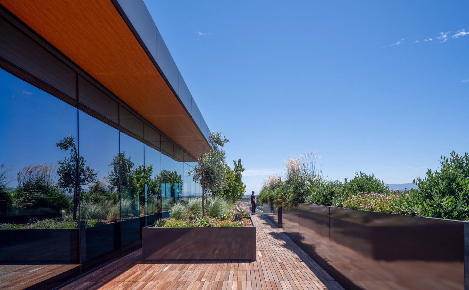 Terrace for Relaxation & Collaboration