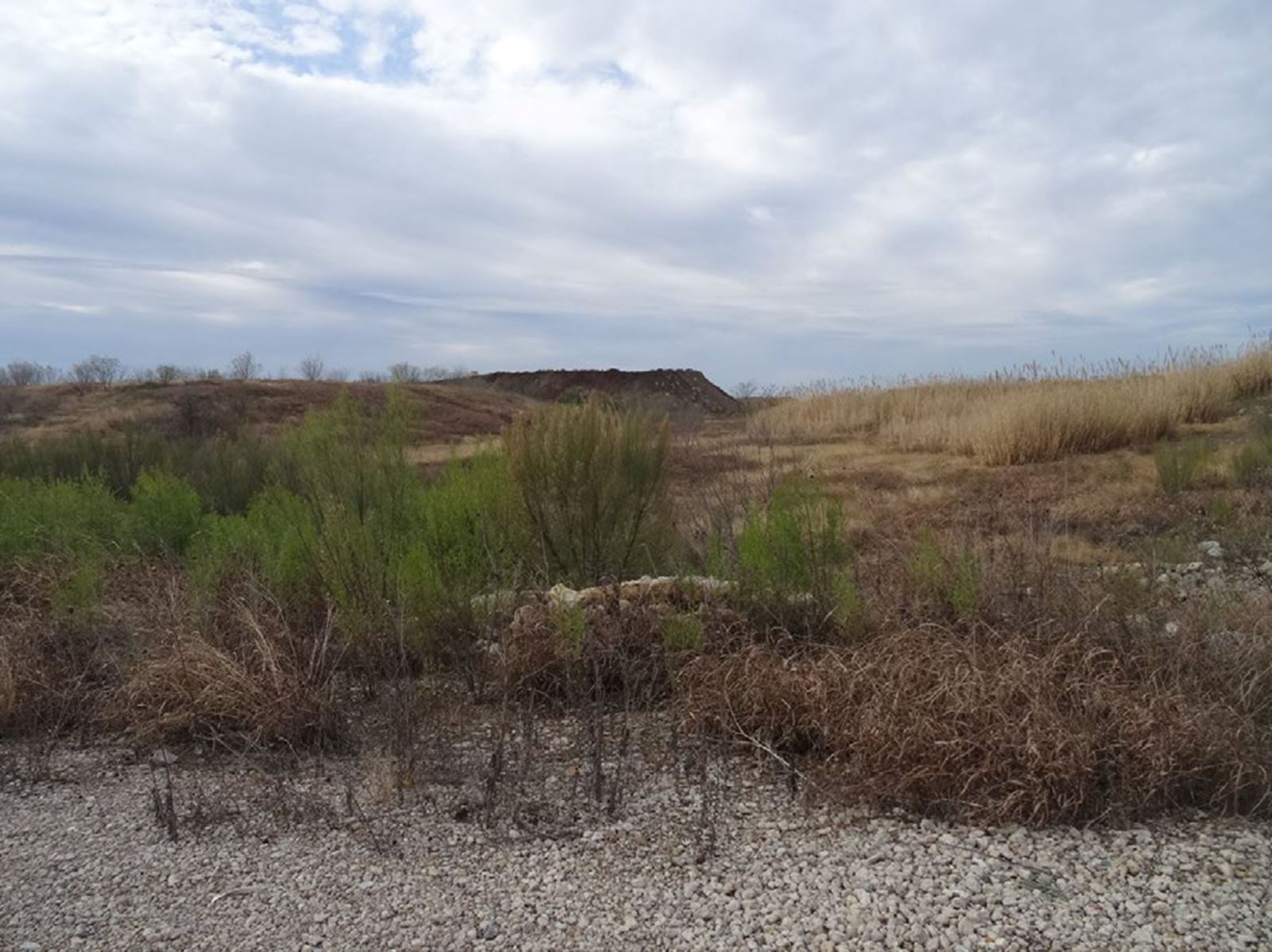 Old Decatur Rd Land Site SE Corner of 1-820 & Old Decatur Rd - Image 4